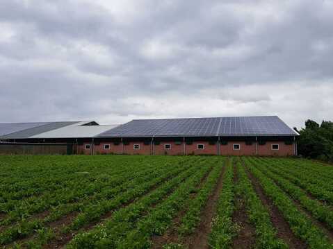 'Zonnig Kromme Rijn' legt 1.700 zonnepanelen op staldak Bunnik