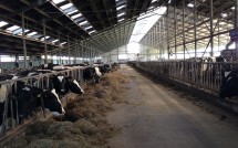 Klimaatdoelen Parijs in dit tempo onhaalbaar