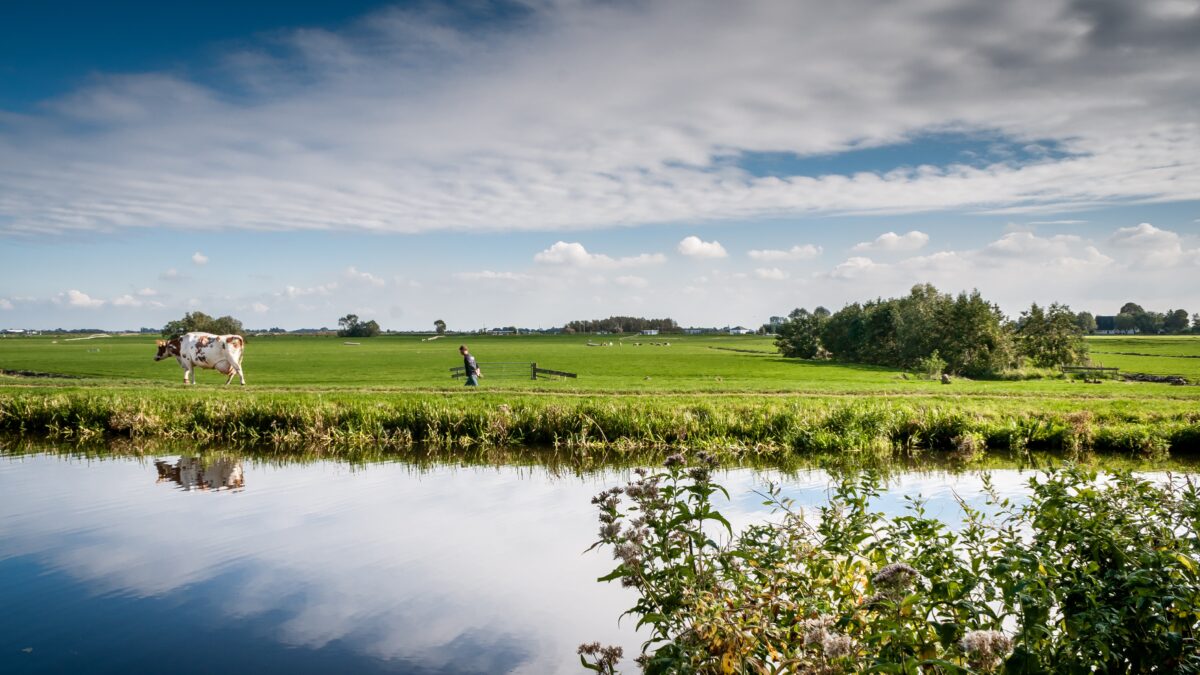 Provincie stelt half miljoen euro subsidie beschikbaar om het landschap te verfraaien