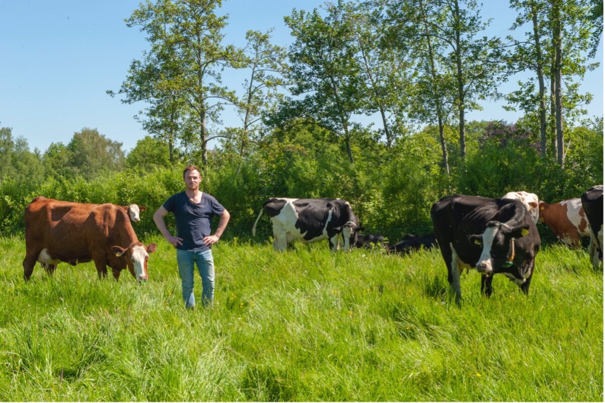 Bomen en struiken planten op grasland? Deze nieuwe handleiding wijst de weg!