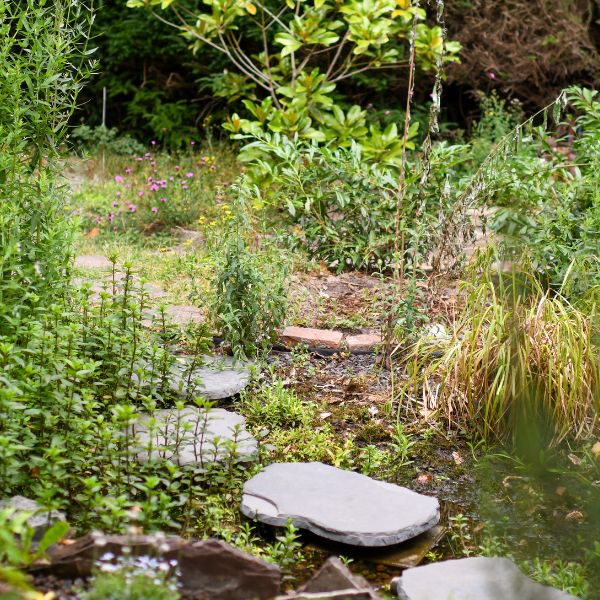 Webinar ‘Zet je buurt in bloei!’ | IVN