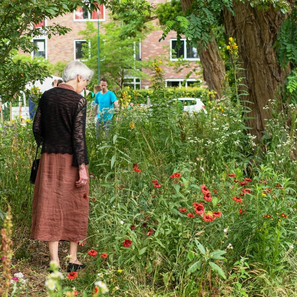 Online workshop – Levende Tuin | IVN