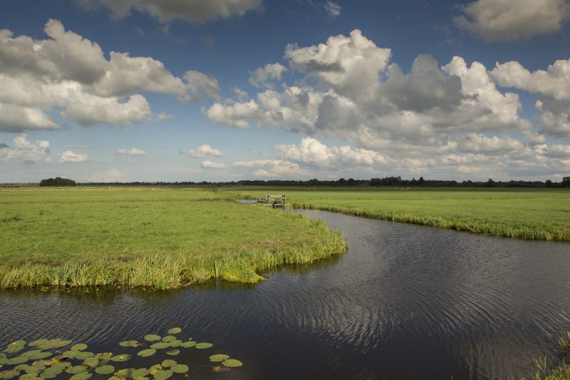 Valuta voor Veen in provincie Utrecht: kansrijk en complex