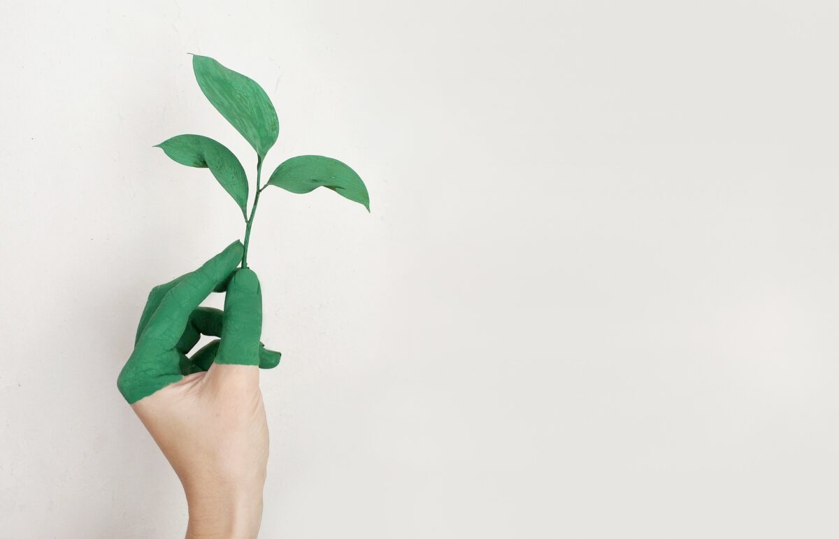 Financier je idee via de Global Goals Social Impact Challenge