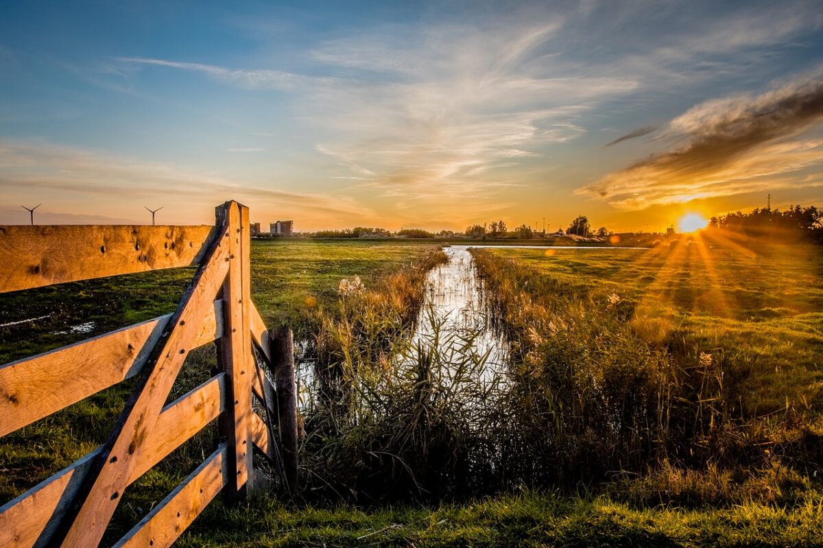 Nationale Omgevingsvisie: goede inzet, uitwerking moet concreter