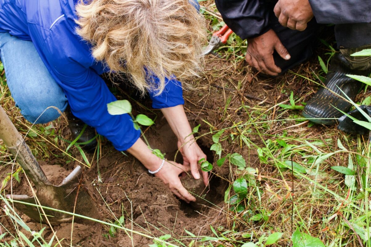 Kom je mee bomen planten op 7 december?