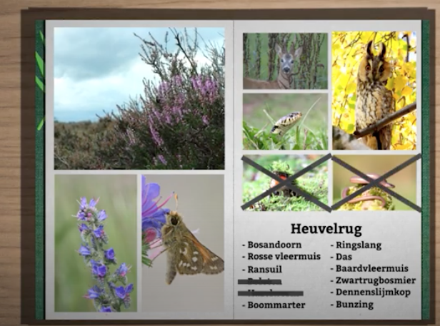 Natuurorganisaties in filmpje: 'Bescherm Natuurnetwerk Nederland!'