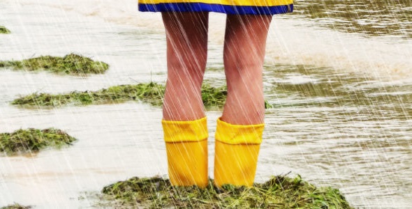 Inspiratiedag Natuurlijke Klimaatbuffers op 16 januari
