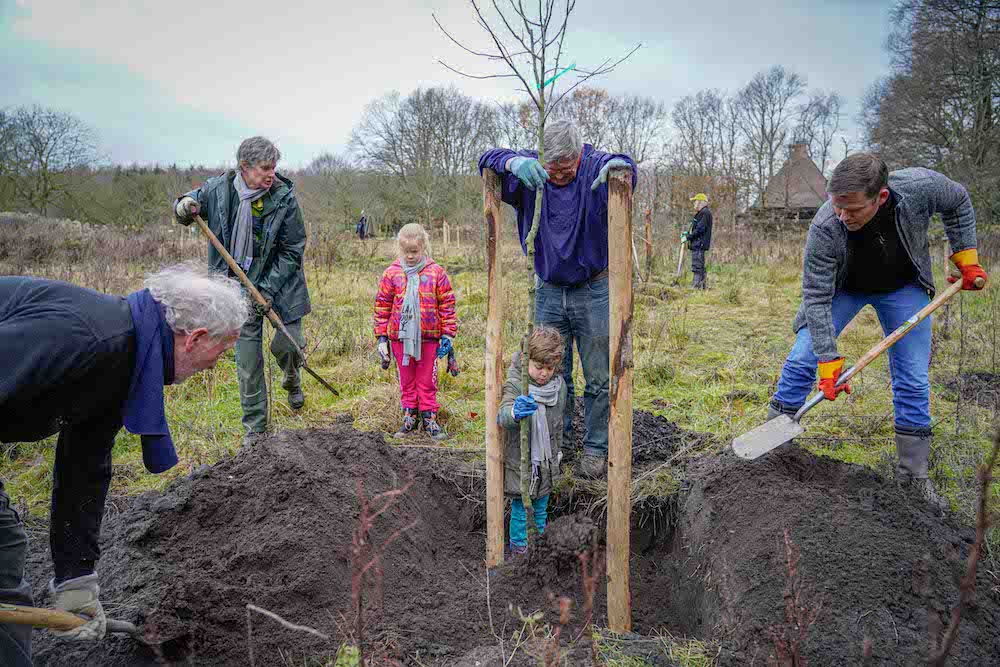 Bomen uitdeelactie binnen twee dagen vol!
