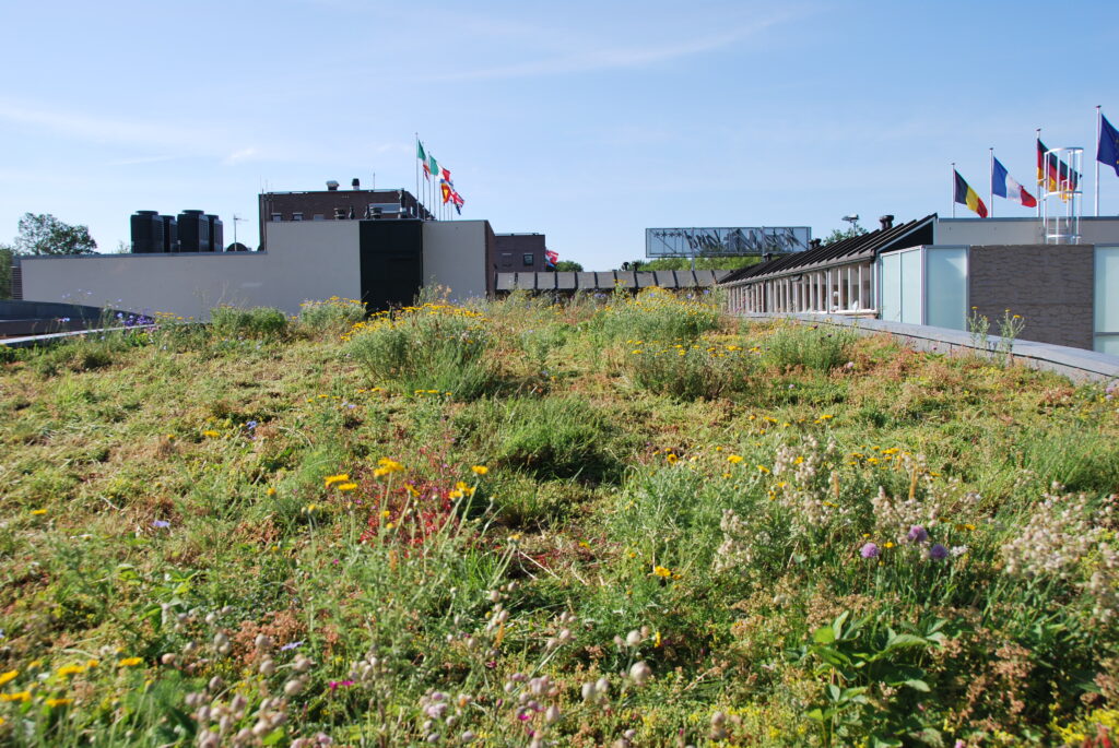 Het groene dak van hotel Mitland in Utrecht