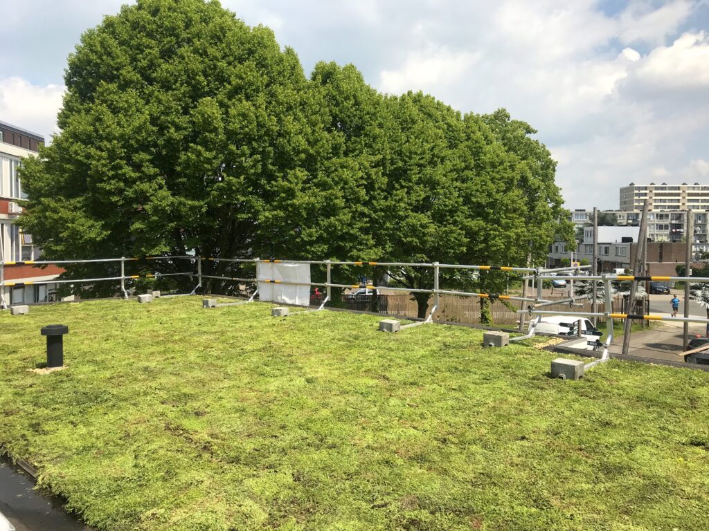 Het groene dak van Krachtstation Utrecht. Foto: Sempergreen