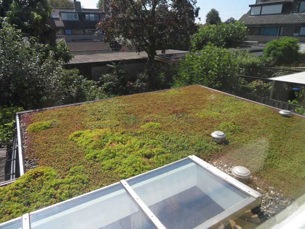 Het groene dak van Chiel en Sophy-Ann Bakkeren