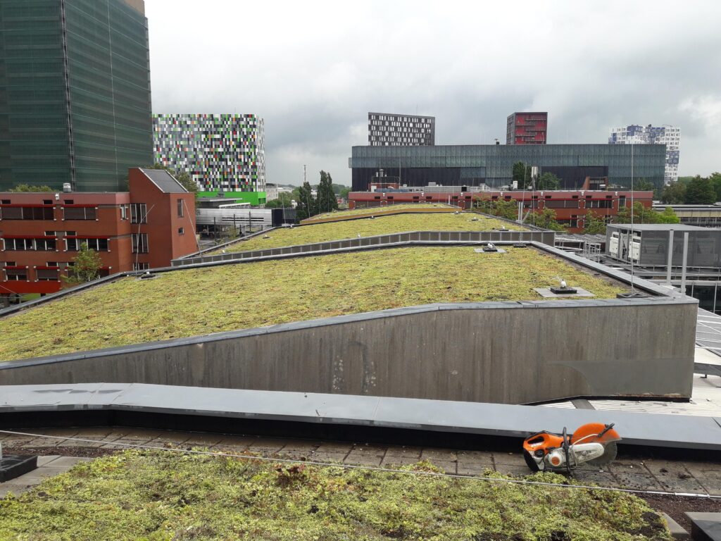 Het groene dak van Hogeschool Utrecht.