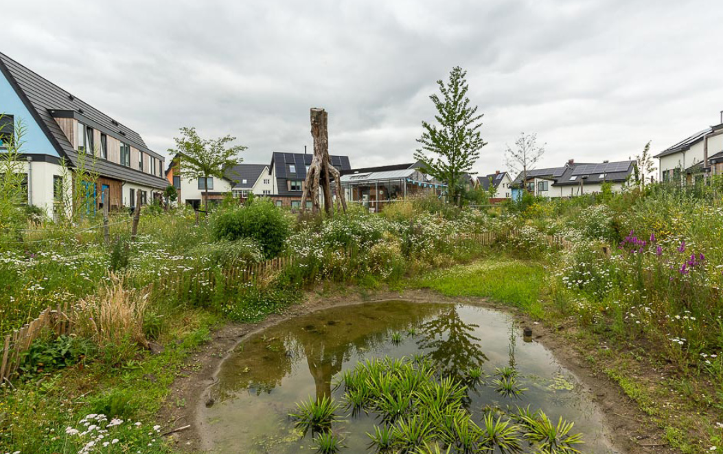 NMU lanceert Klimaatagenda voor een groene klimaatbestendige provincie Utrecht