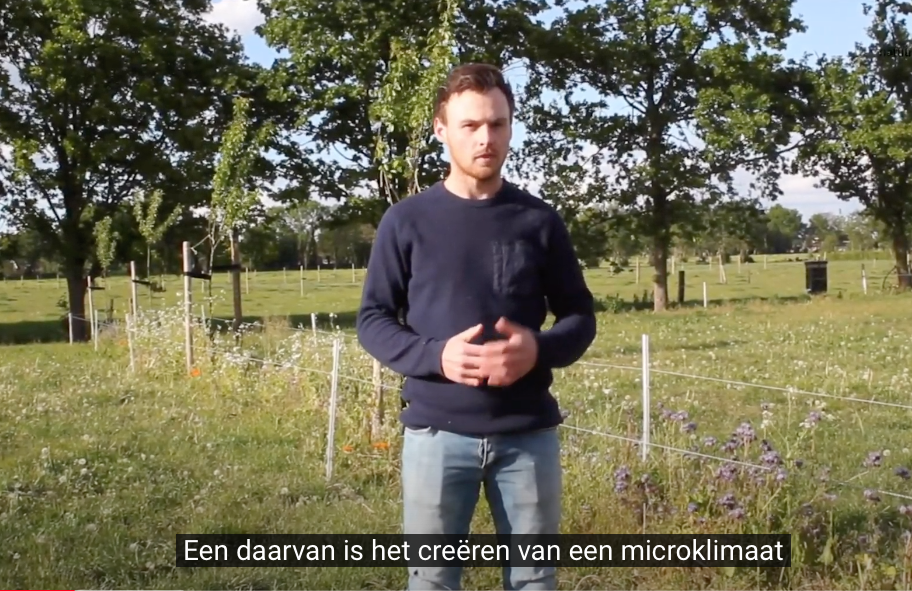 Webinar geeft veel praktische handvatten voor voedselbossen en agroforestry