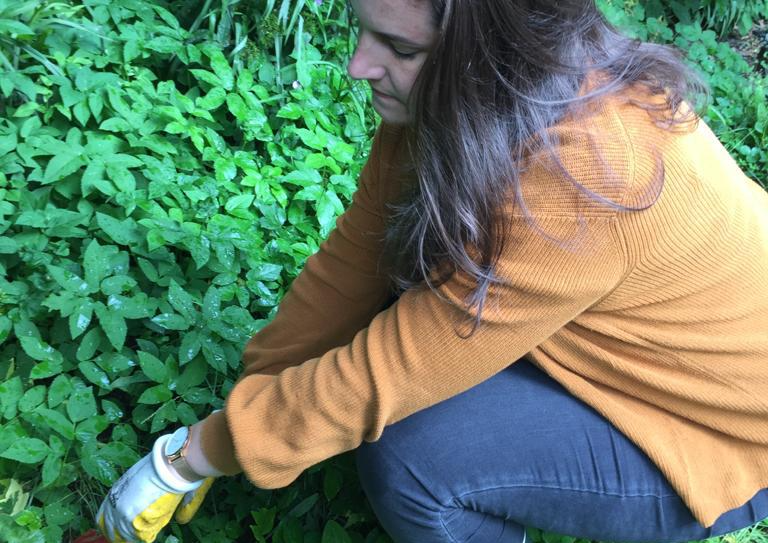 Zomerblog: Op vakantie in eigen tuin