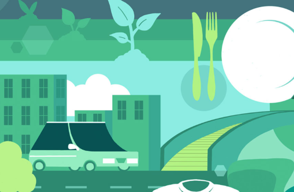 Samen timmeren aan een bio-economie in het project AllThings.bioPRO