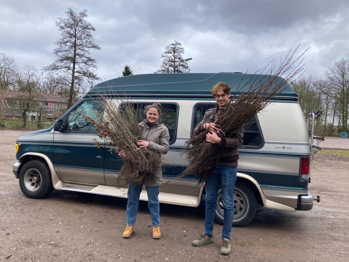 10.000 bomen uitgedeeld voor vergroening van provincie Utrecht