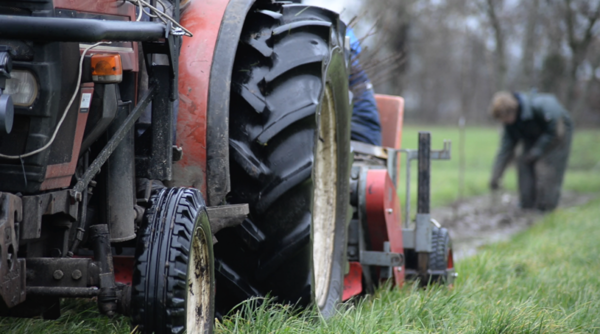 Inzichten uit de onlinebijeenkomst Ontwerp en aanleg Silvopasture, Agroforestry