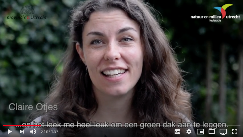 Daken in Vleuterweide kleuren groen dankzij Yolanda en Claire