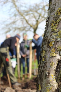 Bomen uitdeelactie voor Utrechtse boeren