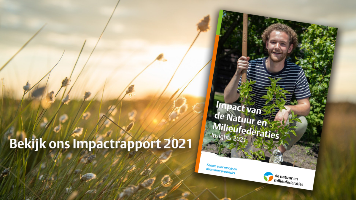 Deze impact maakten wij in 2021: bekijk hier het Impactrapport