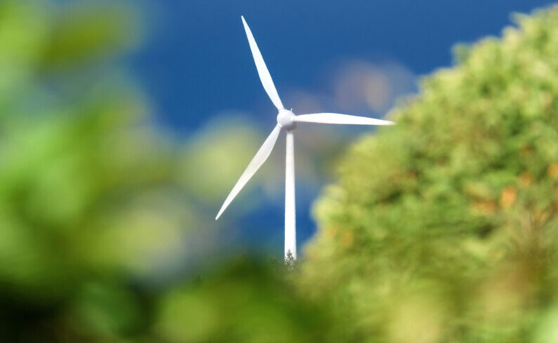 Doe mee met onze masterclasses over een natuurinclusieve energietransitie