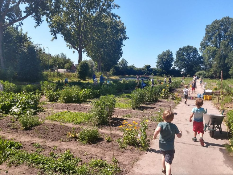 Workshop in Baarn op 14 september: leer je regenpijp af te koppelen!
