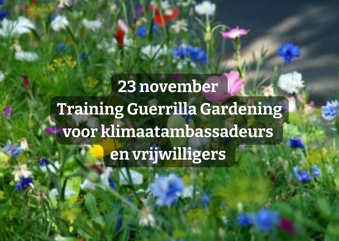 23 november | Training Guerrilla Gardening