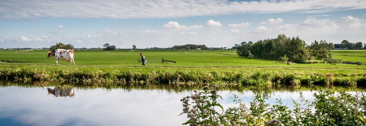 Natuur- en milieuorganisaties gematigd positief over advies Remkes