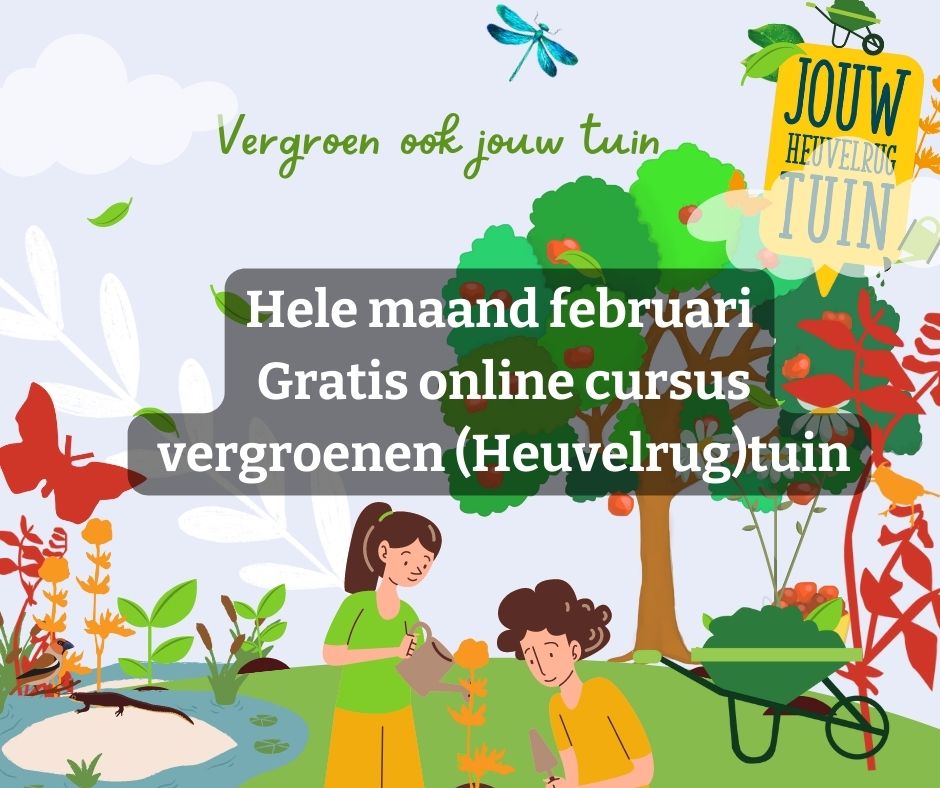 Hele maand februari | Online cursus vergroenen (heuvelrug)tuin
