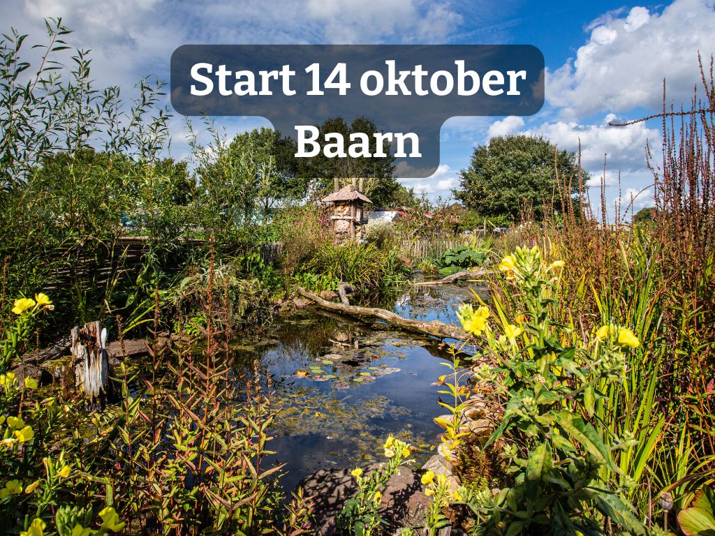Cursus Jouw Heuvelrugtuin
