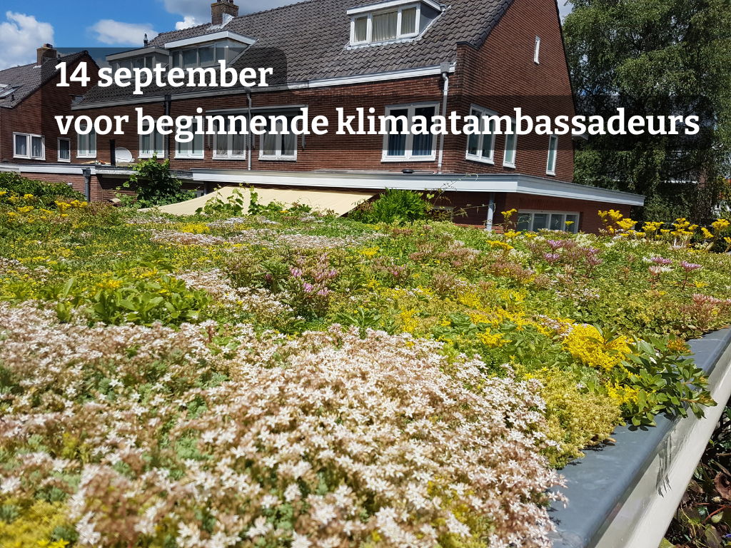 Basistraining klimaatambassadeurs: verkoeling en tegengaan wateroverlast | voor beginnende klimaatambassadeurs