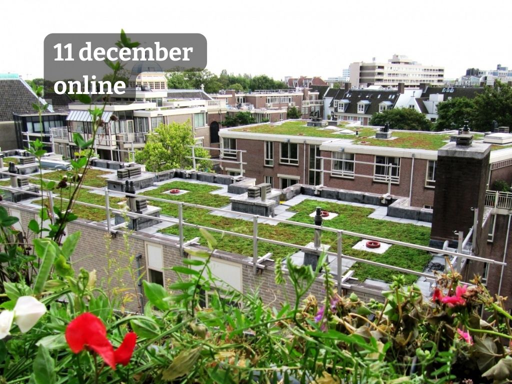 Webinar Duurzame Daken | voor iedereen met een (gedeeld) dak