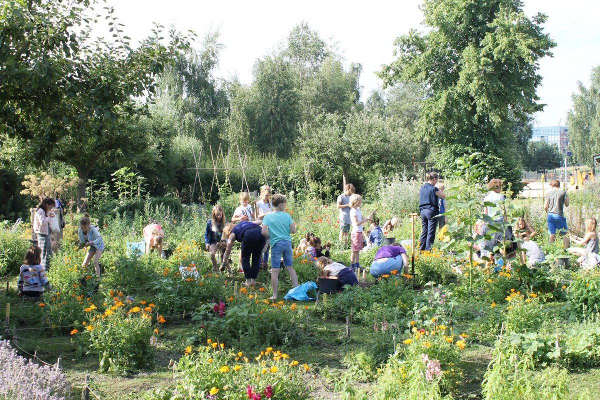 Utrecht Natuurlijk