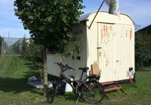 Biologische tuinderij ’n Groene Kans