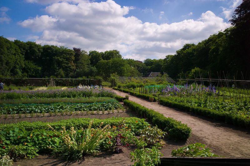 Moestuin Vollenhoven