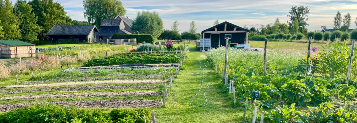 Tuinderij Steef & Eef