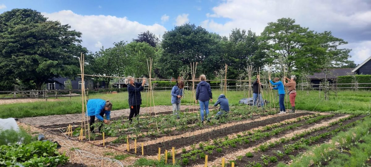 Coöperatie de Tuinders