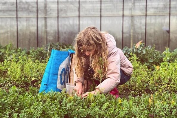 Tuinderij Kansrijk