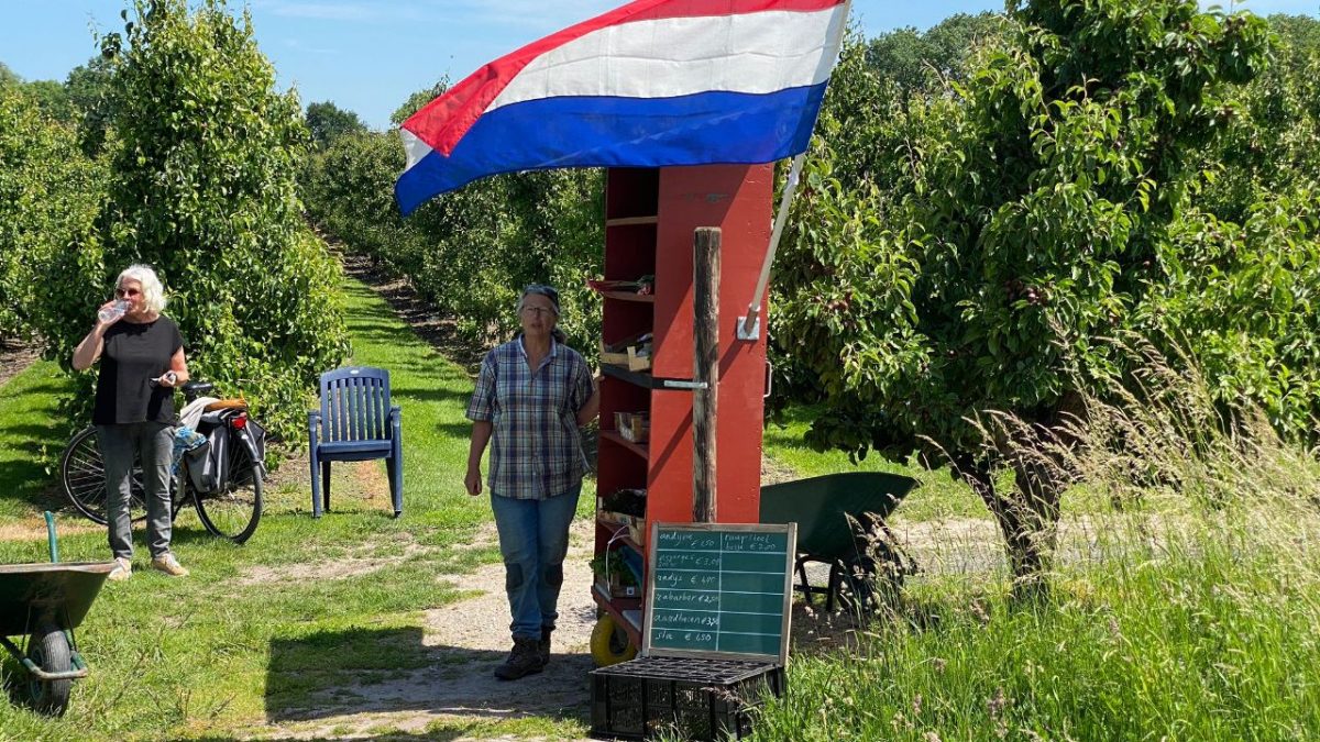 De Wijkse Moestuin