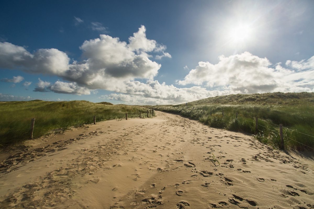 Natuurherstel en klimaatactie zijn vandaag en morgen even noodzakelijk als gisteren