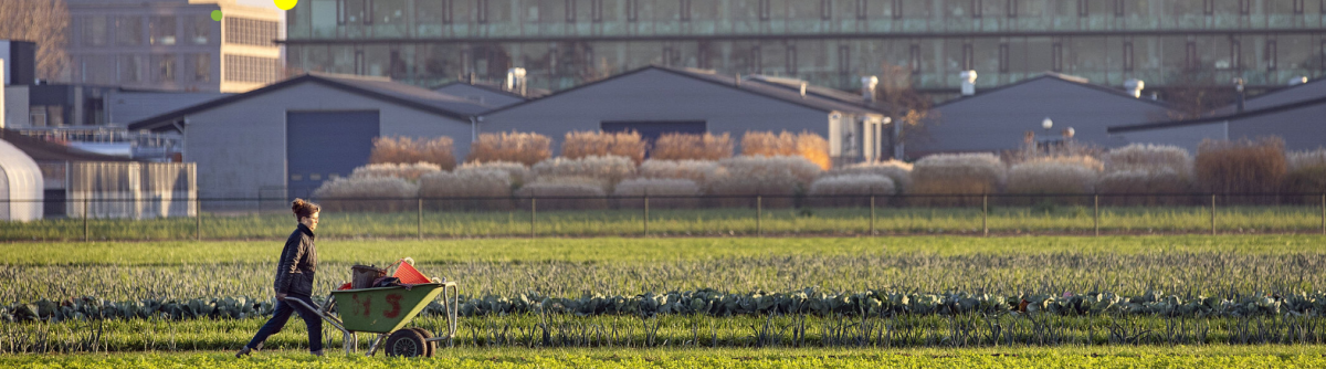 Landbouwnetwerk Foodvalley