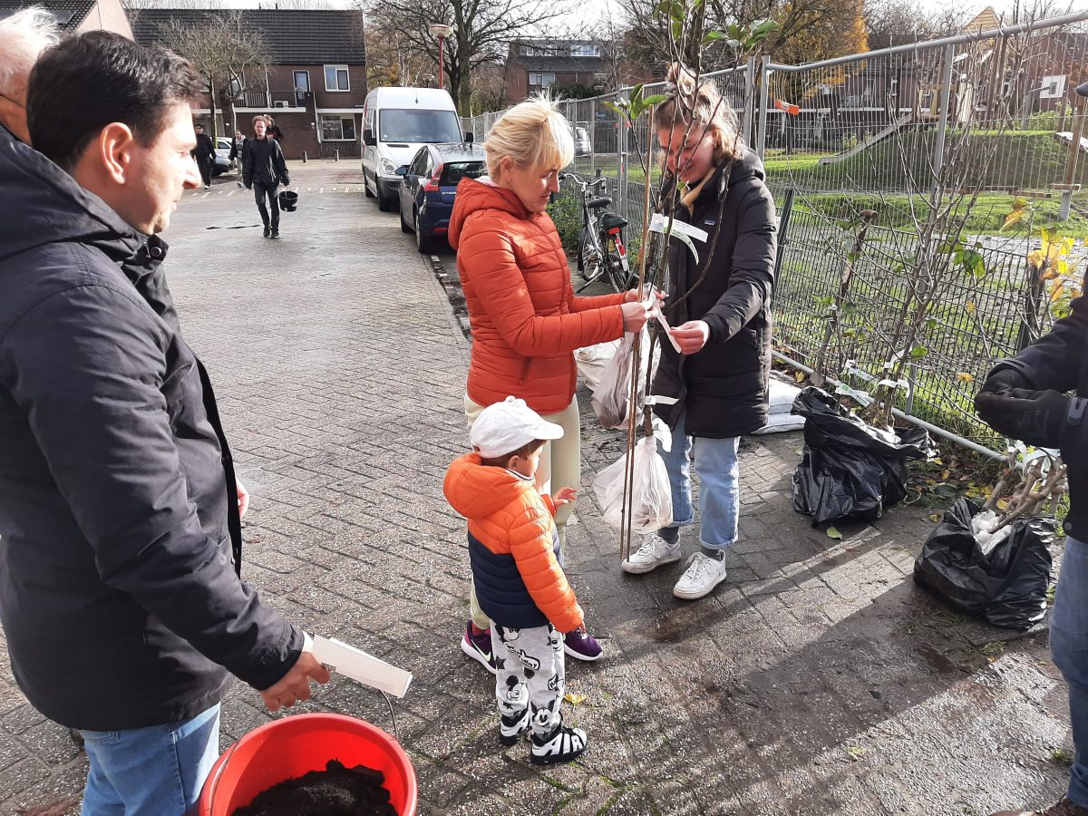 Fruit uit de tuinen van Gebouwendriften