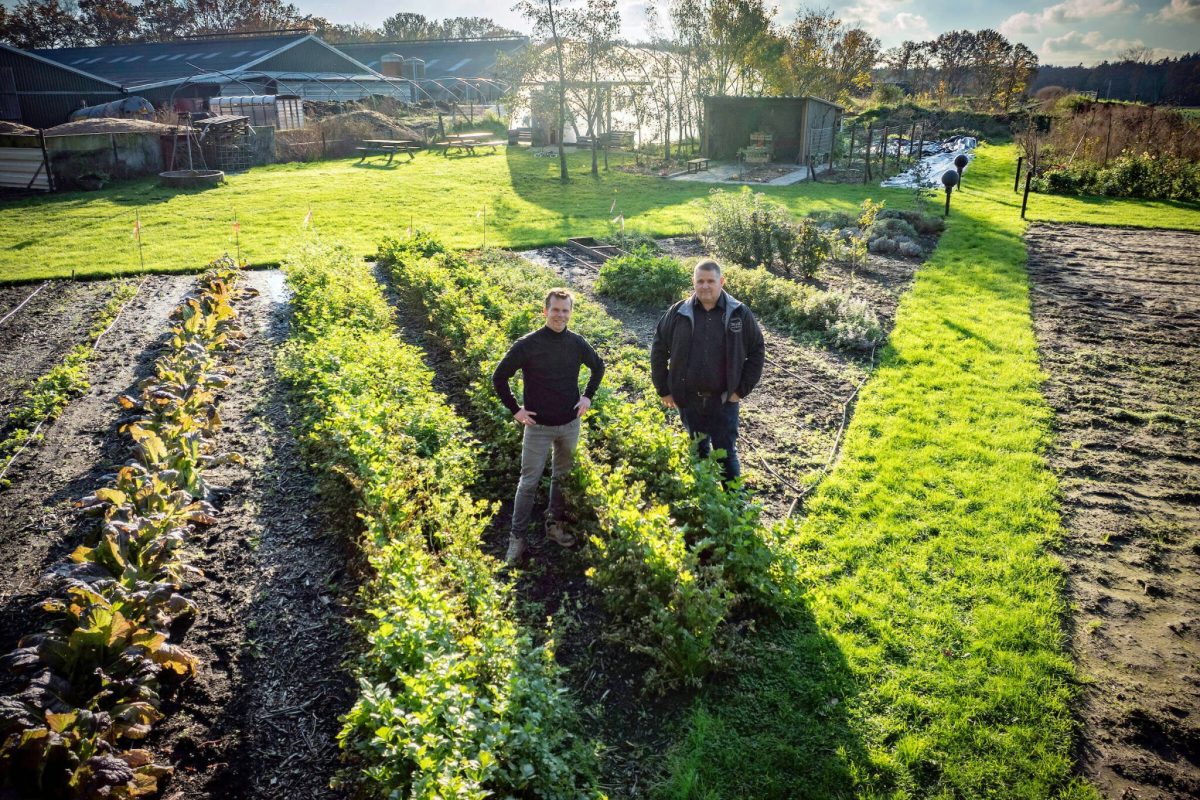 Agroforestry proefperceel deelnemer: Jeroen Valkenburg en Roel van Dijk