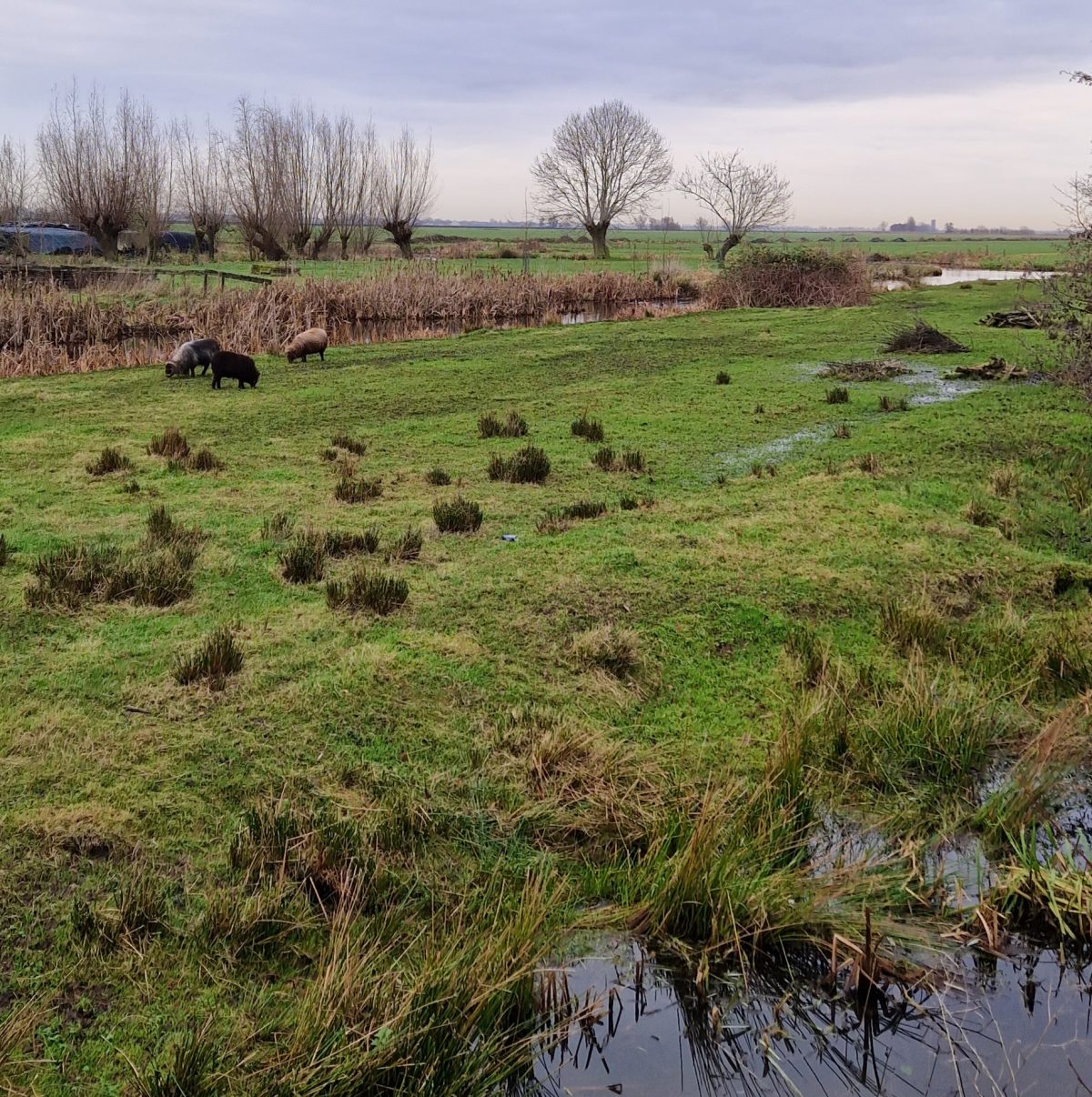 De Route van de Toekomst: etappe 5