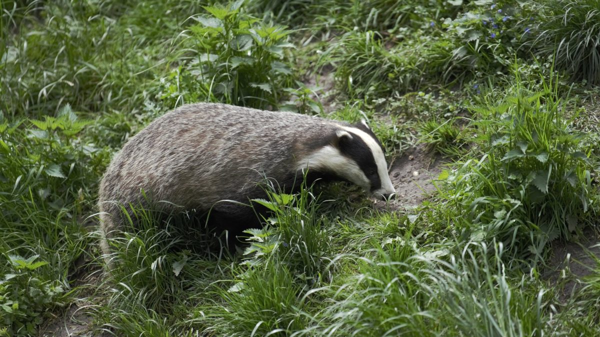 Winst voor de natuur door uitspraak Raad van State Paleis Soestdijk