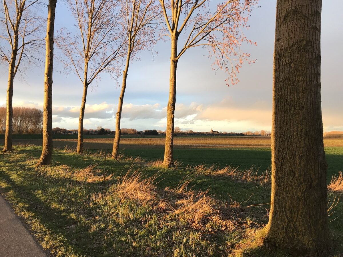 Petitie: ‘Zet het Nederlandse landschap weer op de kaart!’