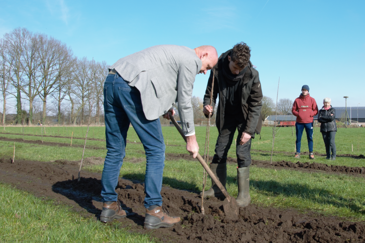 Agroforestry steeds normaler rondom Nationaal Park Utrechtse Heuvelrug – nieuwe proefpercelen aangelegd