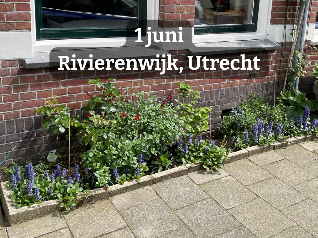 Geveltuinworkshop | voor inwoners Rivierenwijk Utrecht